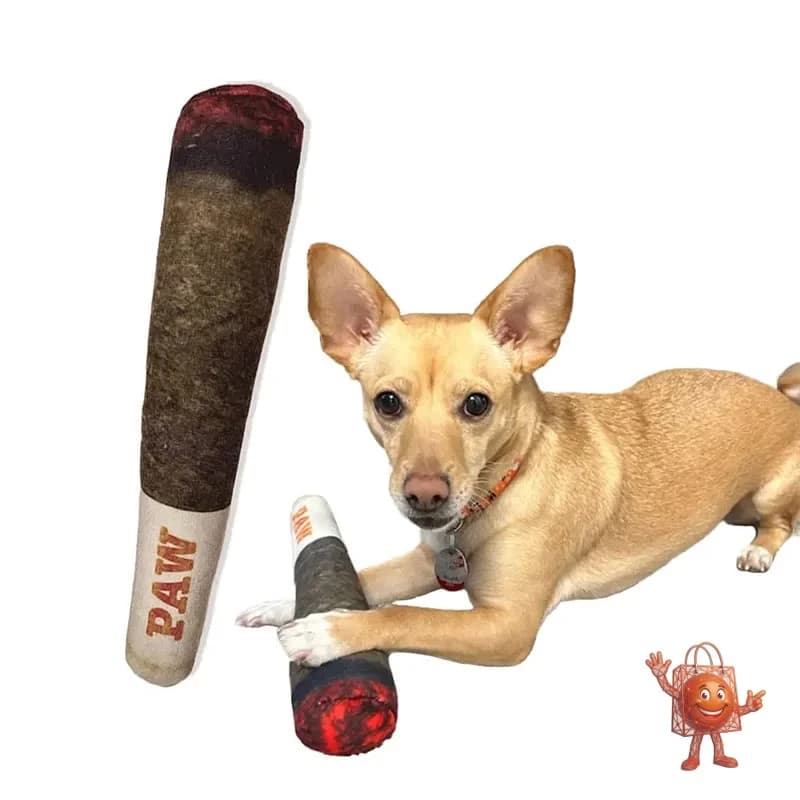 Juguetes Suaves Interactivos para Perros - Mi Reseña Honesta
