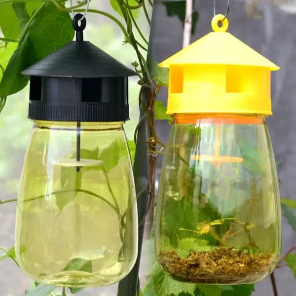 Fly and Pest Trap for Garden and Home