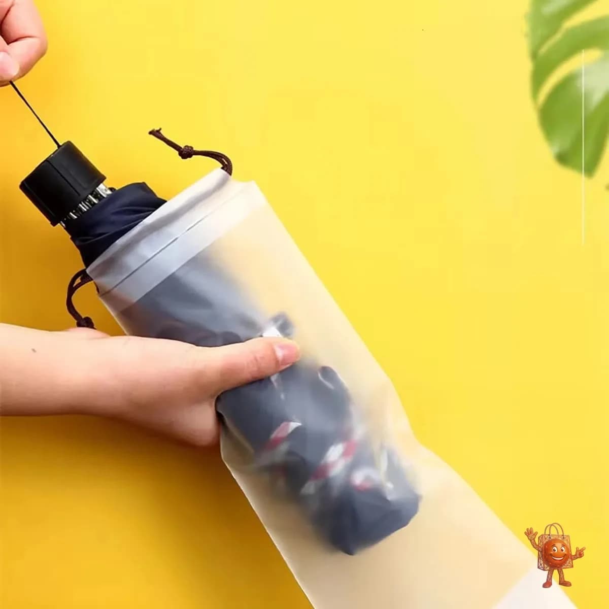 Clear Umbrella Storage Bag Review: Does It Actually Work?
