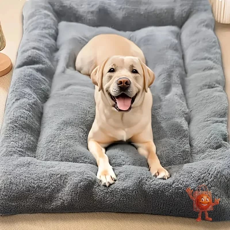 Cama Sofa Calentita para Perros: Mi Prueba Real de 3 Semanas