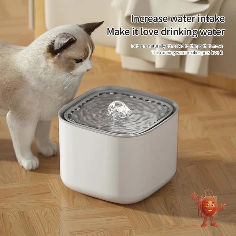 I Tested This $4 USB Pet Water Fountain - Honest Review & Buying Guide